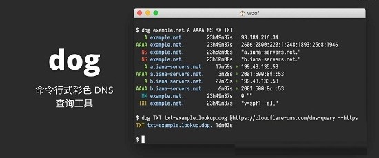命令行式彩色DNS查询工具