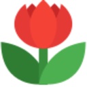 图图水印助手 v1.0.0.4官方版