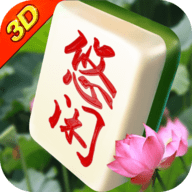 悠闲麻将川南(四川)