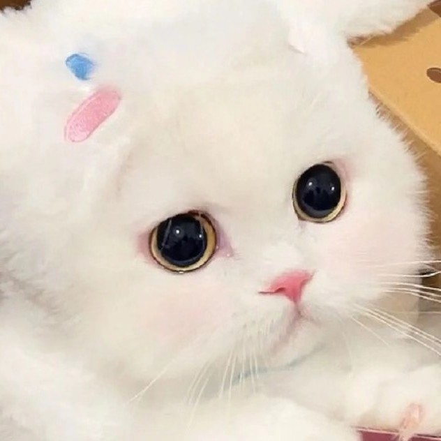 鸿宝阁app手机版