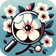 梅花乐看app