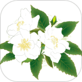 解语茶花官方免费版