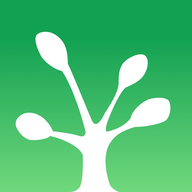 大树日记app