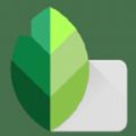 绿叶修图软件Snapseed免费版