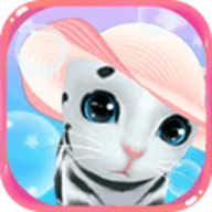 晴天小猫最新版